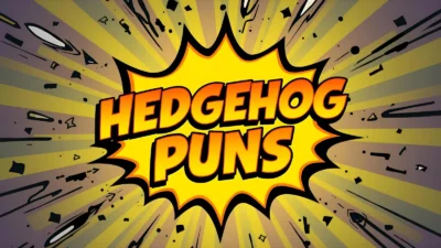 Hedgehog puns