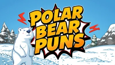 Polar bear puns