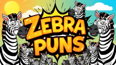 Zebra puns