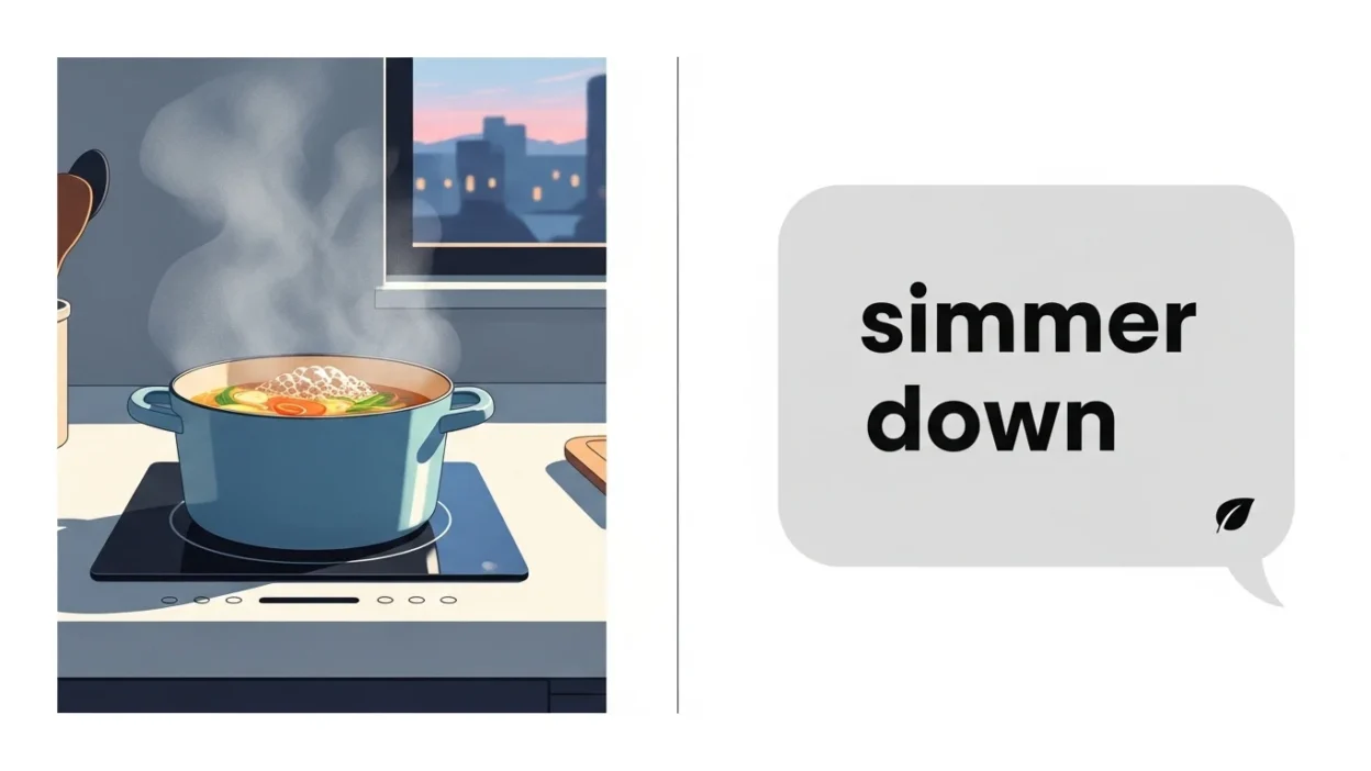 what does simmer mean