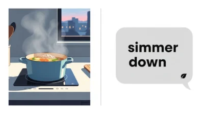 what does simmer mean